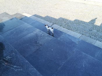 High angle view of man standing in city