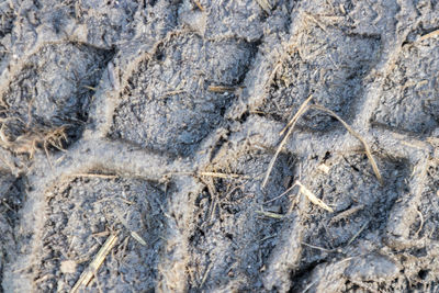 Full frame shot of a rock