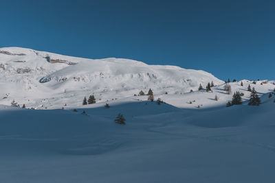 A picturesque landscape view of the french alps mountains and tall pine trees covered in snow