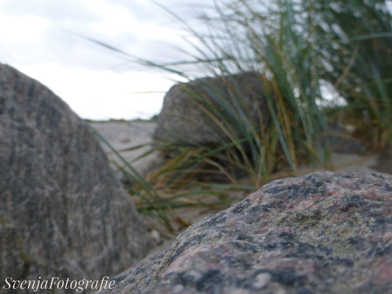 rough, close-up, textured, landscape, rocky, selective focus, tranquil scene, sky, cloud, solitude, tranquility, nature, plant, remote, growth, surface level, non-urban scene, countryside, scenics, day, outdoors, focus on foreground, rock, no people, messy, cliff