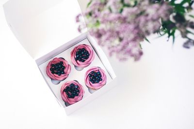 High angle view of blueberries cupcakes in box on white table