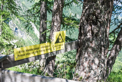 Information sign on tree trunk in forest