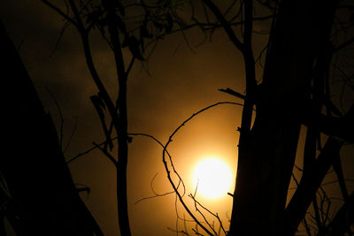 Silhouette bare tree against sky during sunset