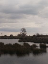 Scenic view of lake against sky