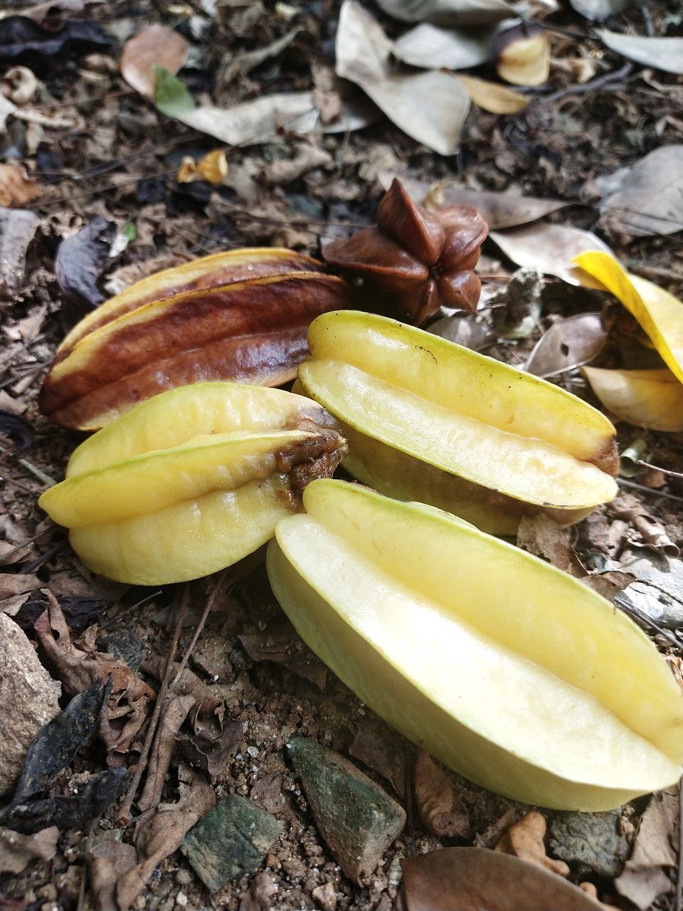 HIGH ANGLE VIEW OF BANANAS