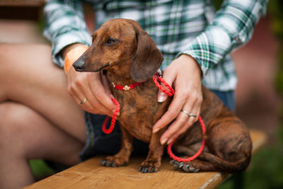 Midsection of woman with dog sitting outdoors