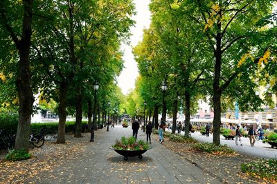 People on footpath in park