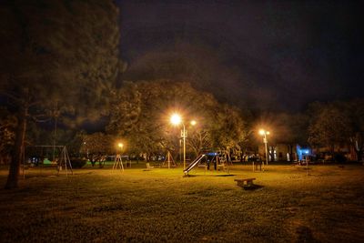 Illuminated trees at night