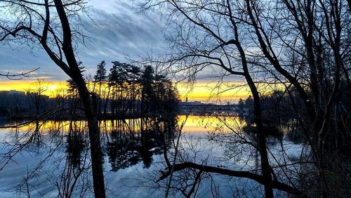 Bare trees by lake at sunset