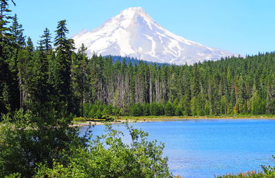 Scenic view of lake by trees against sky