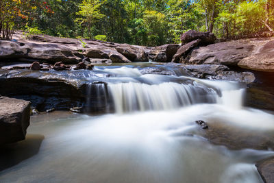 Scenic view of waterfall in forest