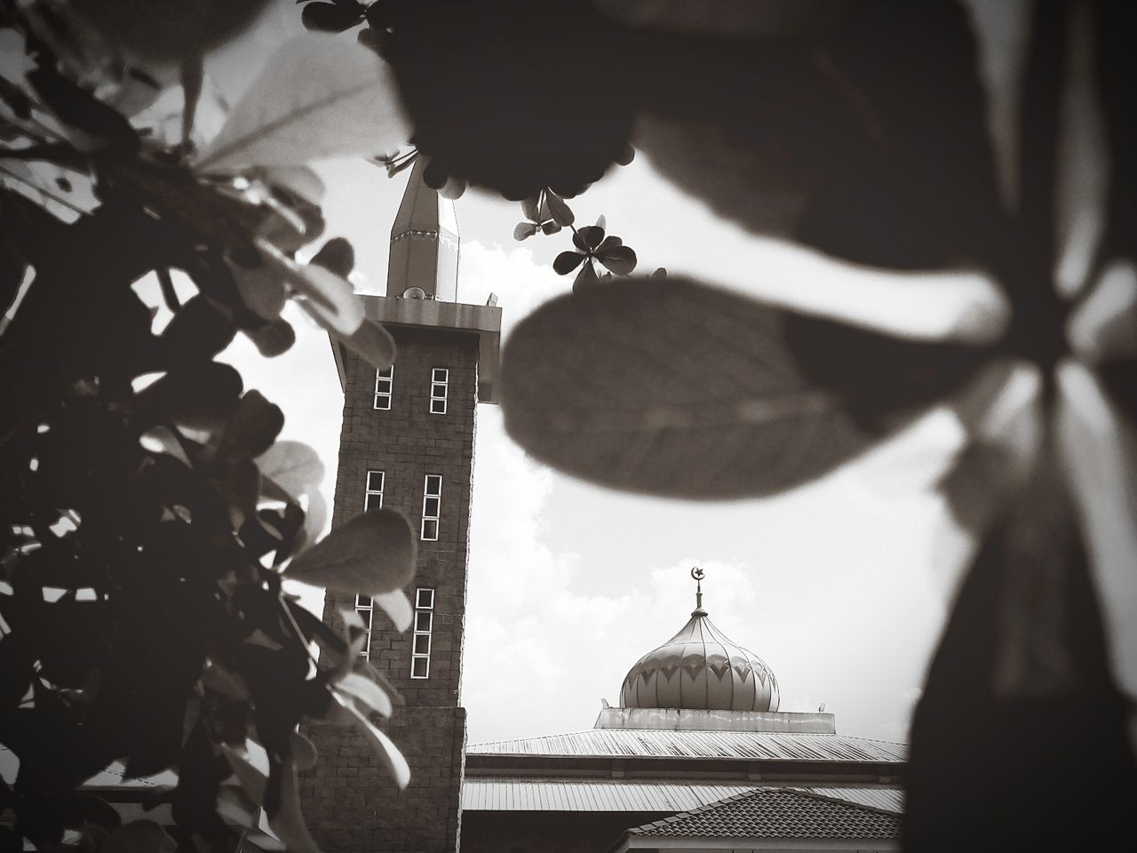 low angle view, building exterior, architecture, built structure, leaf, religion, tree, sky, outdoors, branch, city, hanging, day, no people, place of worship, focus on foreground, spirituality, close-up, growth