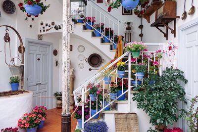 Potted plants hanging on staircase of building