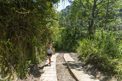 Rear view of person walking on footpath amidst trees