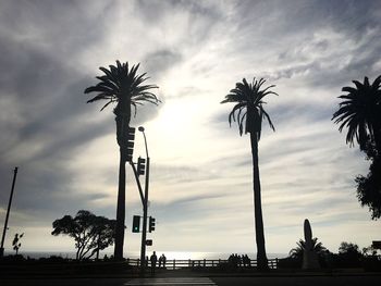 Palm trees on beach against sky