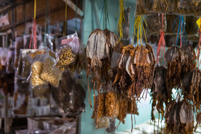 Close-up of dried fish for sale in market