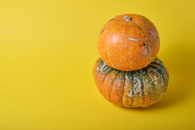 Close-up of pumpkin against yellow background