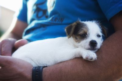 Midsection of man with puppy