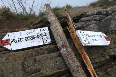 Information sign on tree trunk