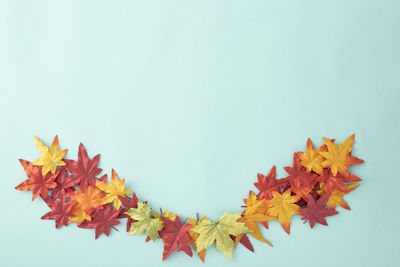 Close-up of autumnal leaves against white background