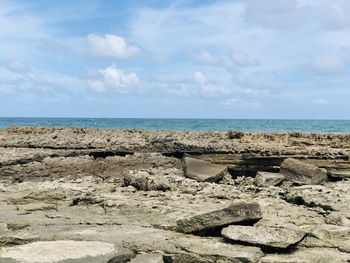 Scenic view of beach against sky