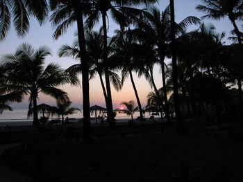 Silhouette palm trees on beach against sky at sunset