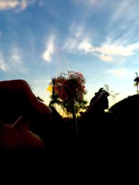 Low angle view of flowers against sky