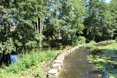 Walkway amidst trees on landscape