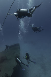 Scuba diving in sea