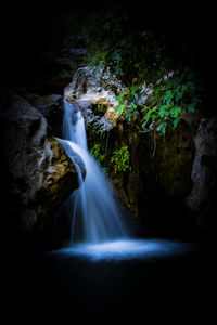 Scenic view of waterfall in forest