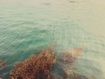 High angle view of beach