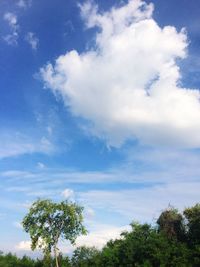 Low angle view of trees against sky