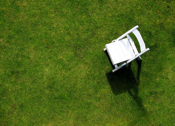 Trees on grassy field