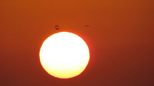 Low angle view of silhouette illuminated against orange sky