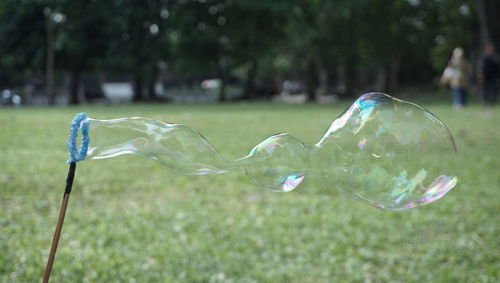 Close-up of bubbles
