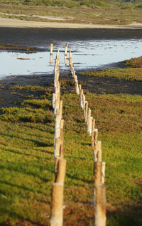 Wooden posts on field by lake