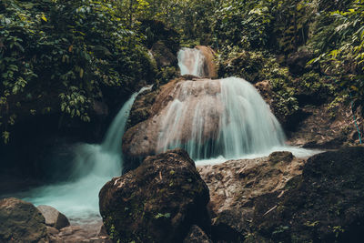 Scenic view of waterfall in forest