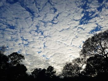 Low angle view of silhouette trees against sky