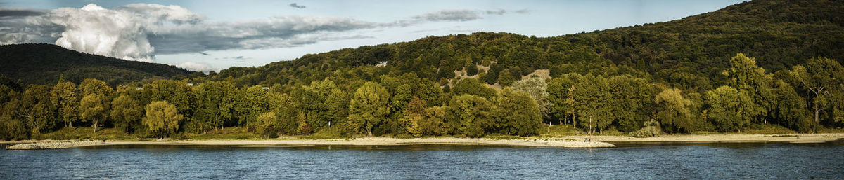 Scenic view of river by trees against sky