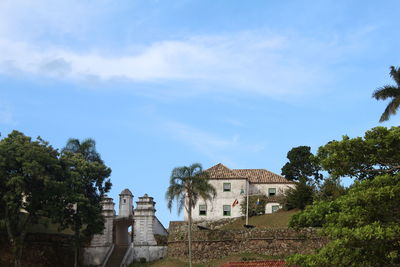 Buildings and trees against blue sky