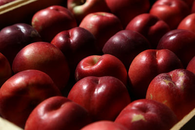 Close-up of fruits