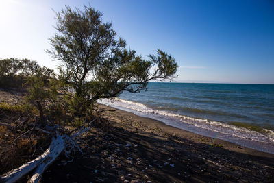 Scenic view of sea against clear sky