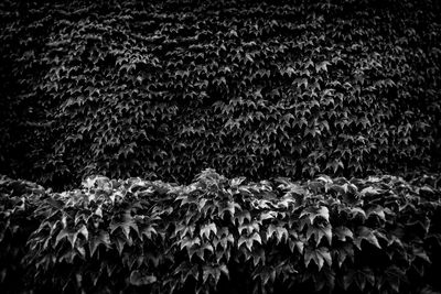 Full frame shot of blurred background