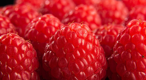Fresh raspberries extreme close-up as background. fruit theme