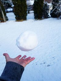 Close-up of hand holding ice ball on snow