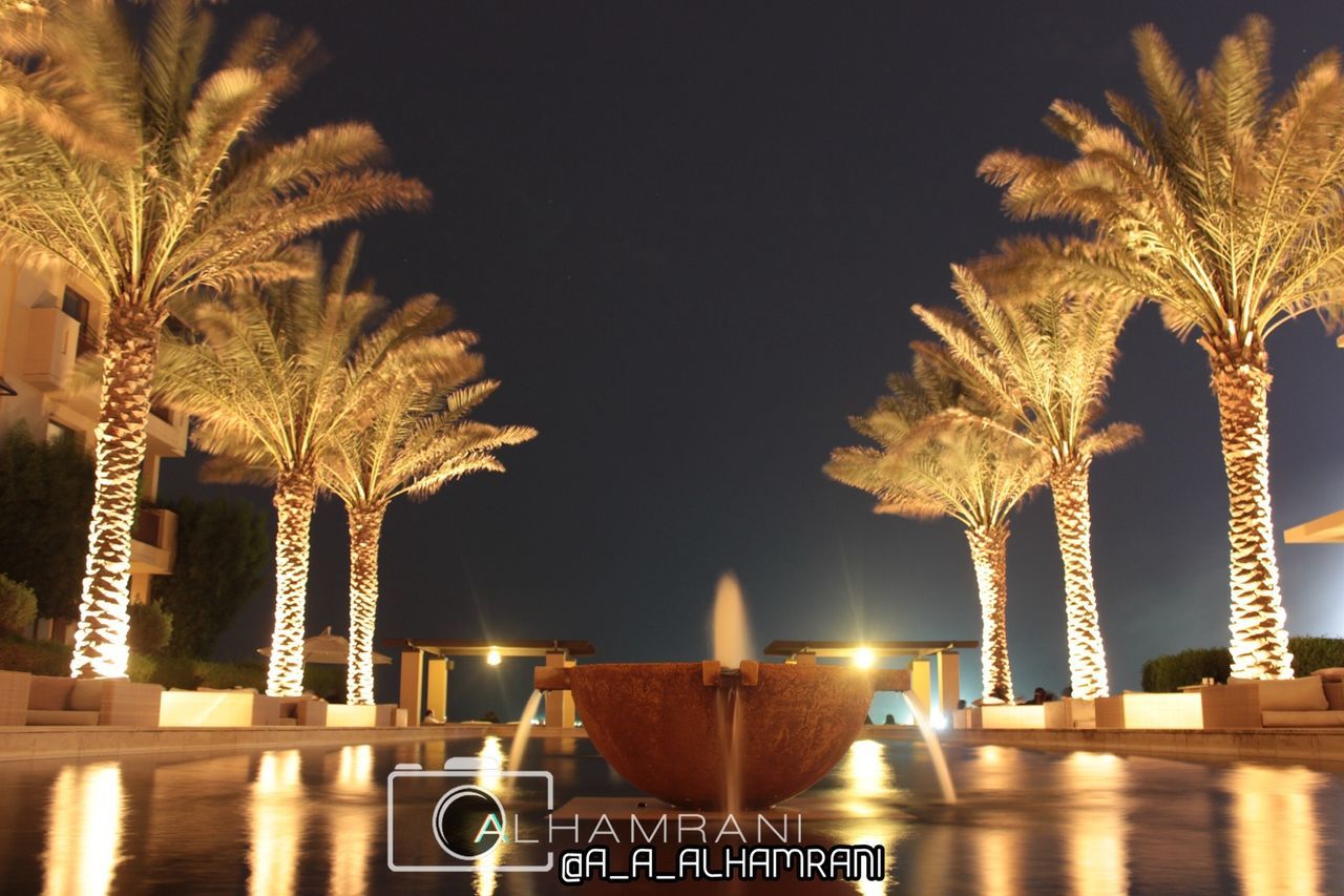 illuminated, tree, night, lighting equipment, table, built structure, palm tree, architecture, clear sky, building exterior, no people, growth, sky, in a row, railing, light - natural phenomenon, outdoors, nature, street light, reflection