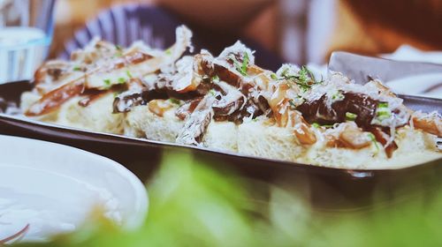 Close-up of food served in plate