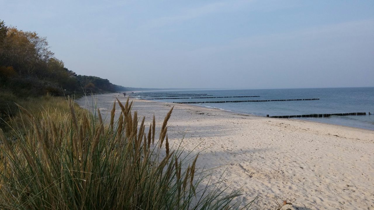 Ferienhaus Rügen - www.ferienhausvermietung-ruegen.de