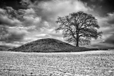Bare tree on landscape against sky