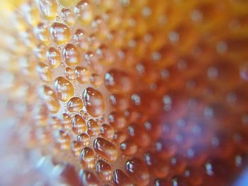 Full frame shot of water drops on leaf